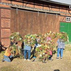 Herbstliches Dekorieren